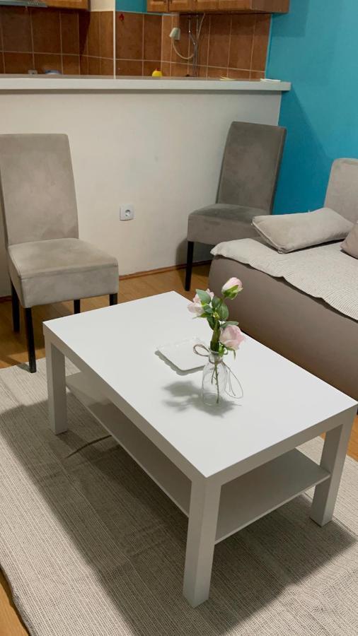 Apartment Elefant 021 Novi Sad Ngoại thất bức ảnh